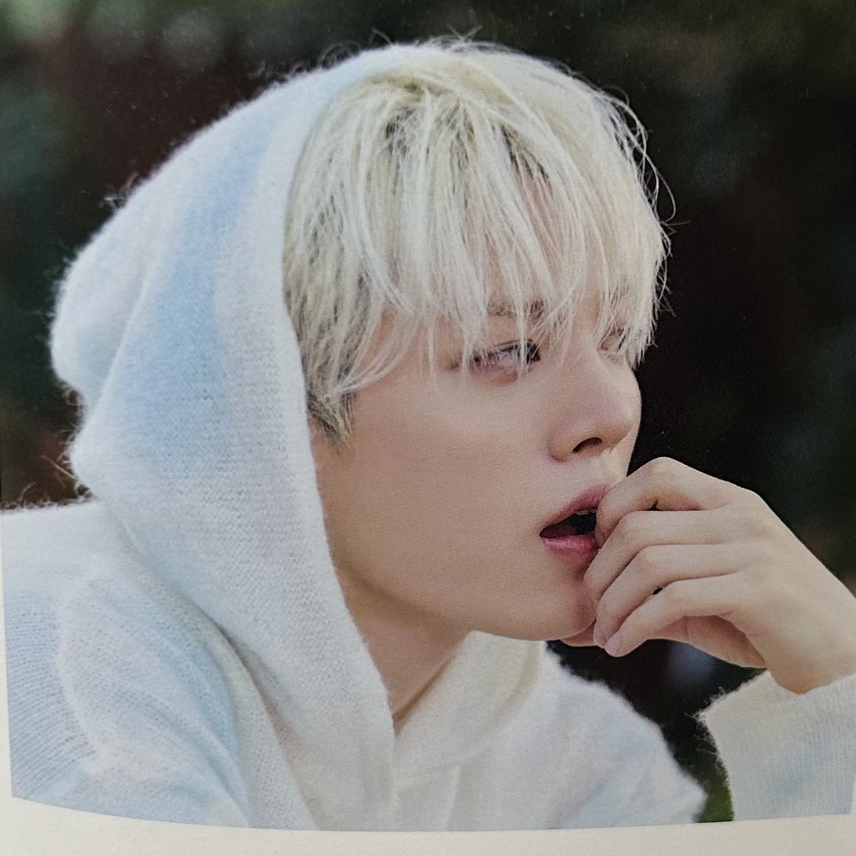 채현 tweet media