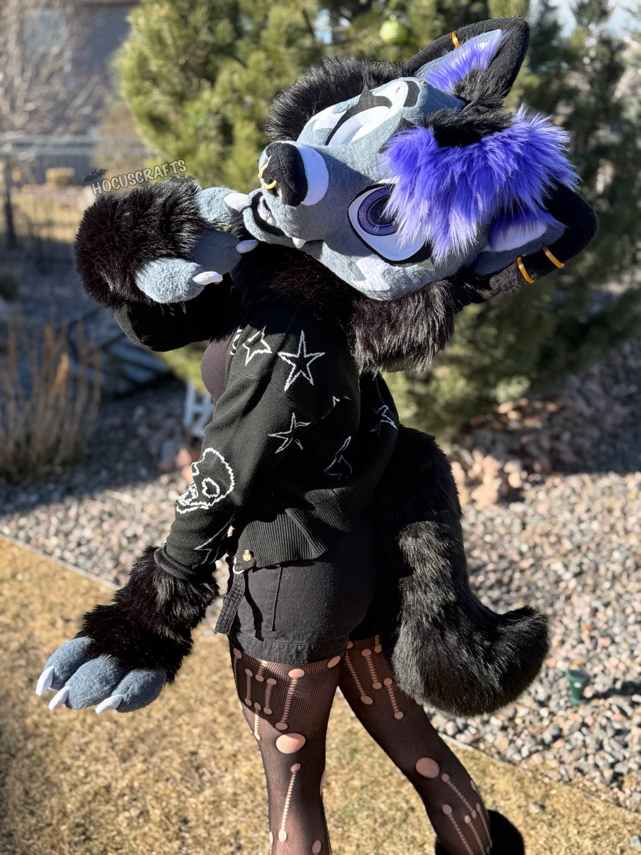 Hocus 🦇🔮 tweet media