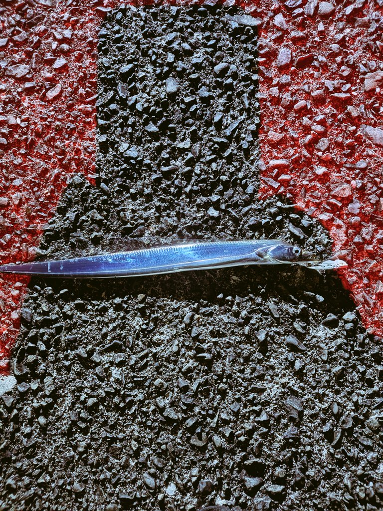 えだっちょ@4/26 ぎふ清流ハーフマラソン tweet media