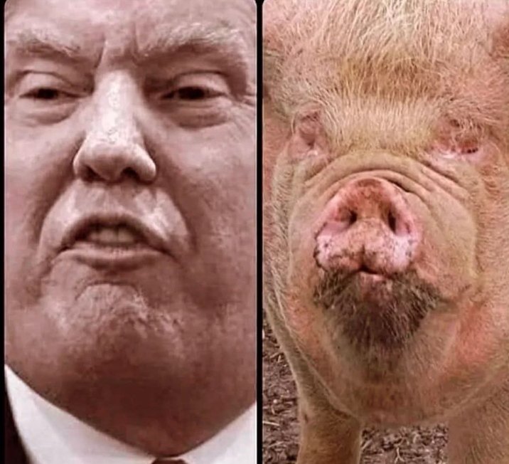 Antonio. tweet media