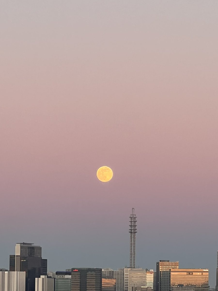 お月様綺麗だな🌕 今日は蟹座の満月らしい☻