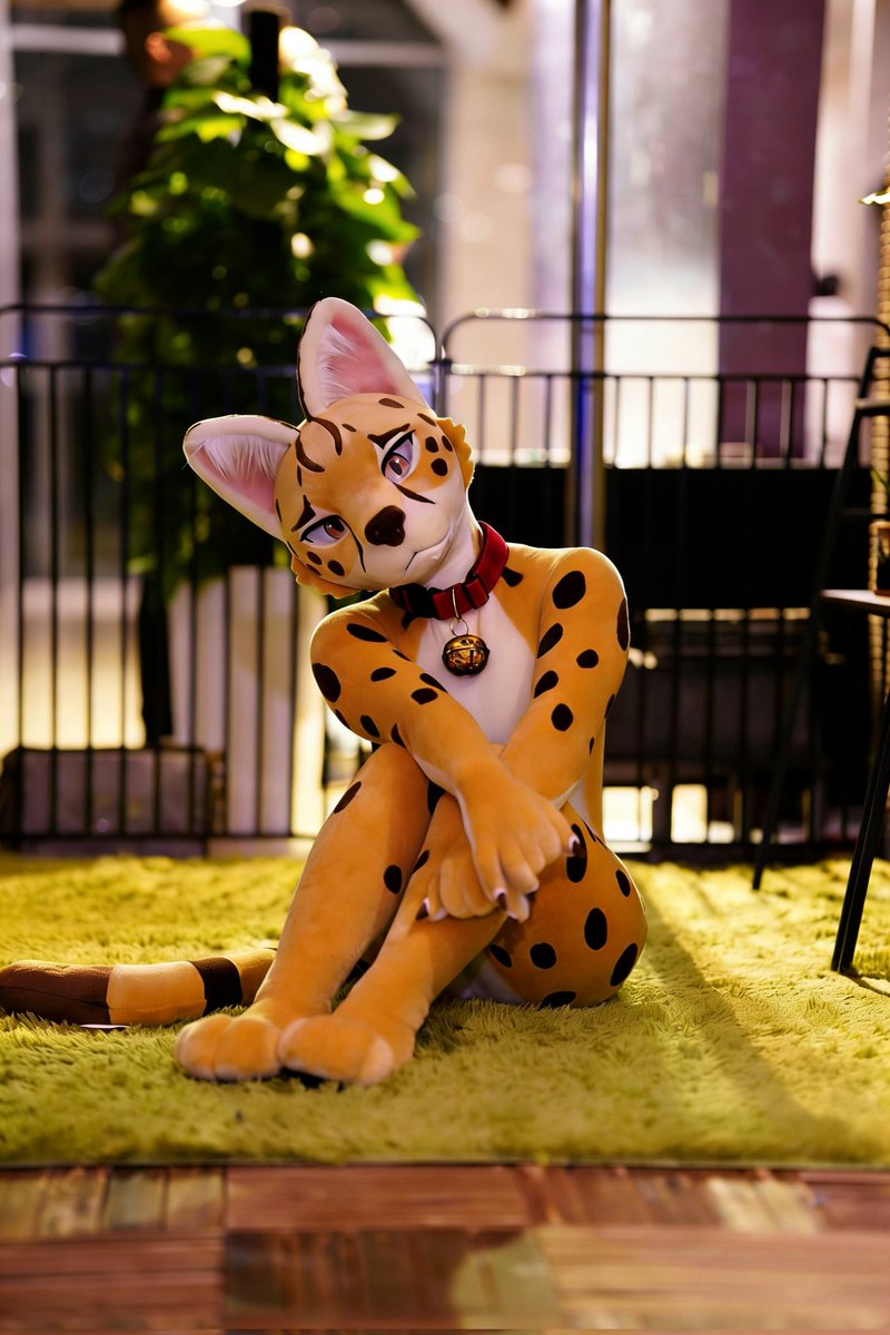 艾萌 (@aimeng101) on Twitter photo 