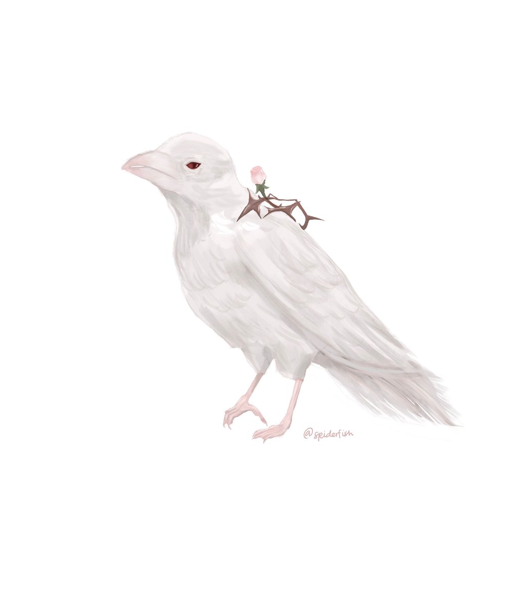 parker⁷ tweet media