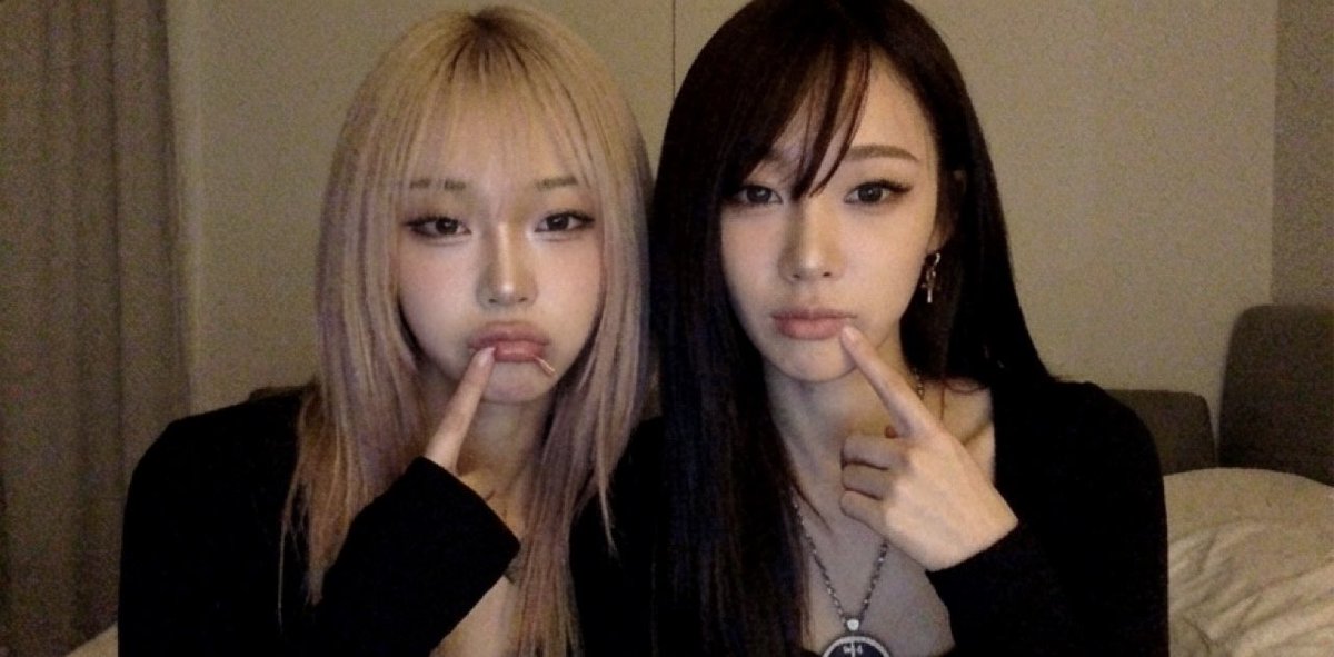 단 tweet media