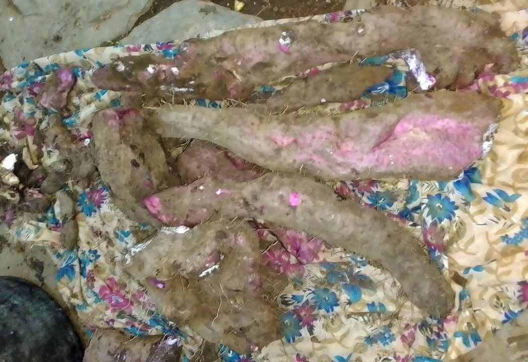 Siddhant Kadal (@kadalsiddhant) on Twitter photo 