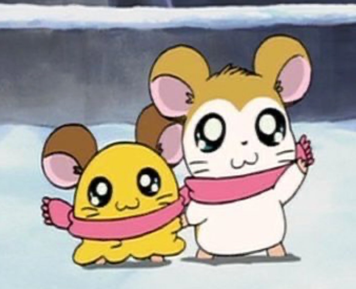 내눈엔걍이렇게보임 (더큰햄이지성이), image size:1171x952