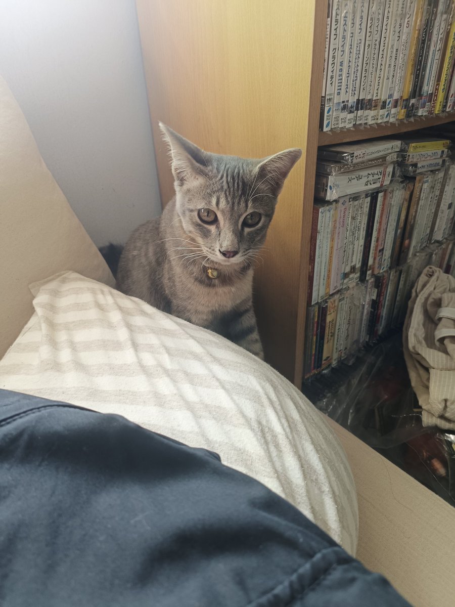 มาวุ่นวายอะไรบนเตียงนอนของชั้น