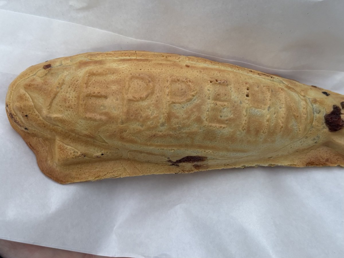 屋台で大判焼き買った。
形が2種類あって丸いのと細いのあったから、細いのにしてみた。