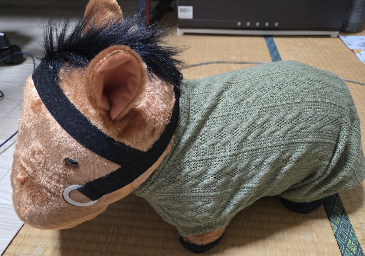 ごめん レガレイラ 服のチョイスがおばちゃんやし サイズギッチギチや