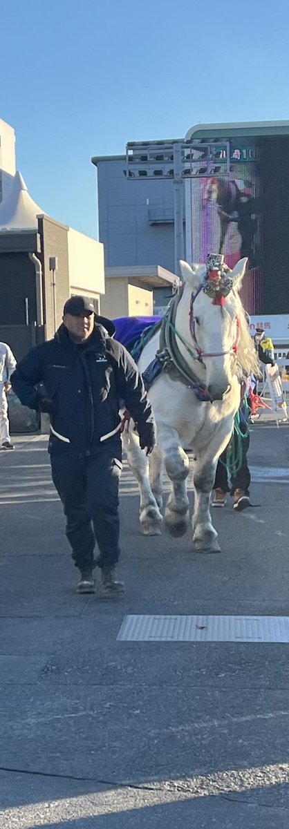 ばんえい十勝 tweet media