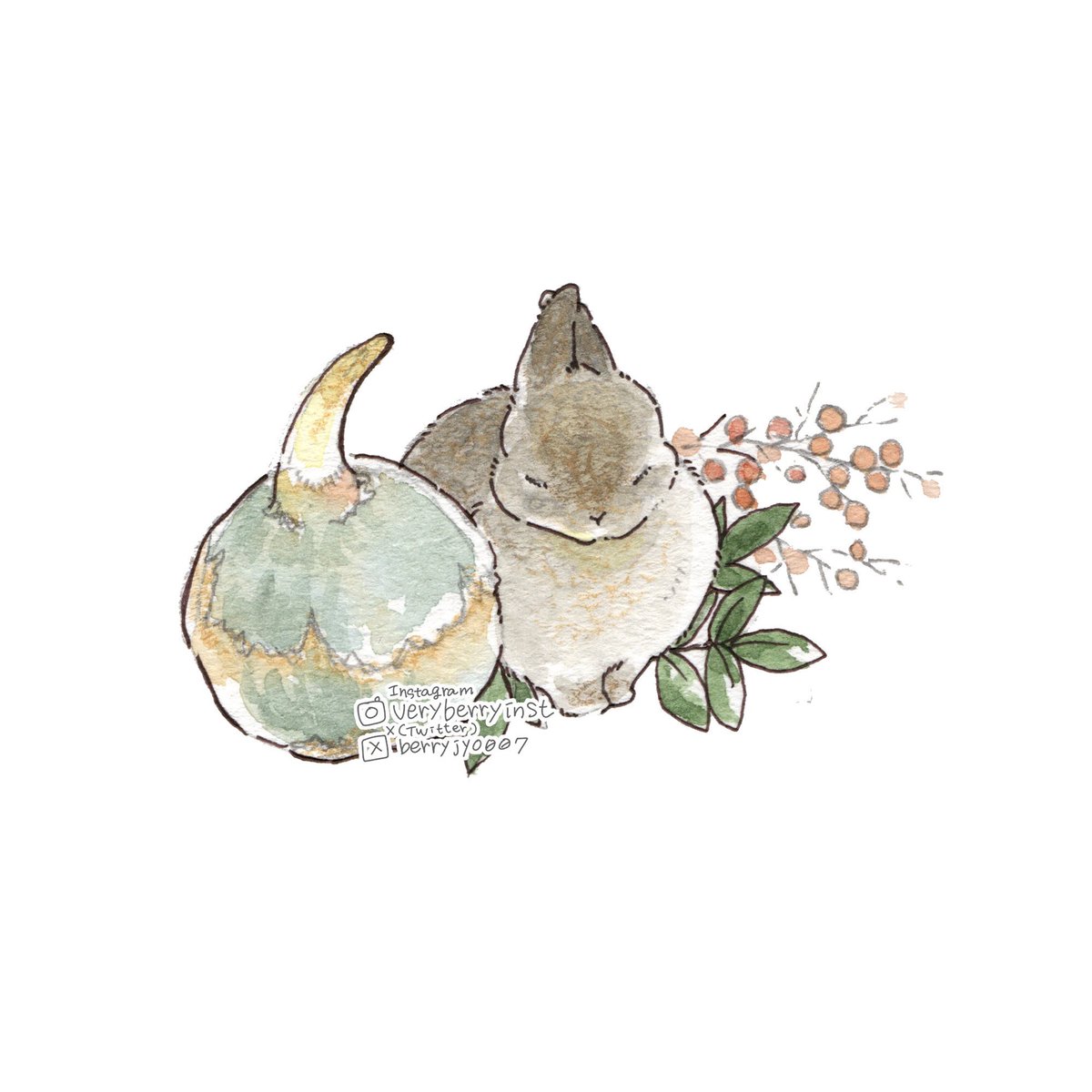 うさぎさんのおせち🎍🍱

くわいちゃん