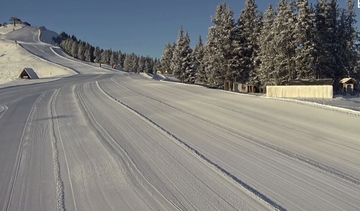 Quintin Schevernels tweet media