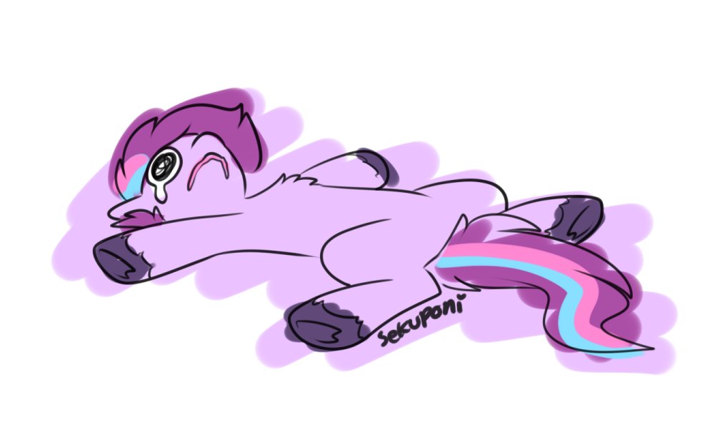 Sekuponi tweet media