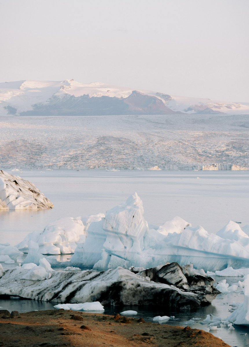 Jonah Moose tweet media