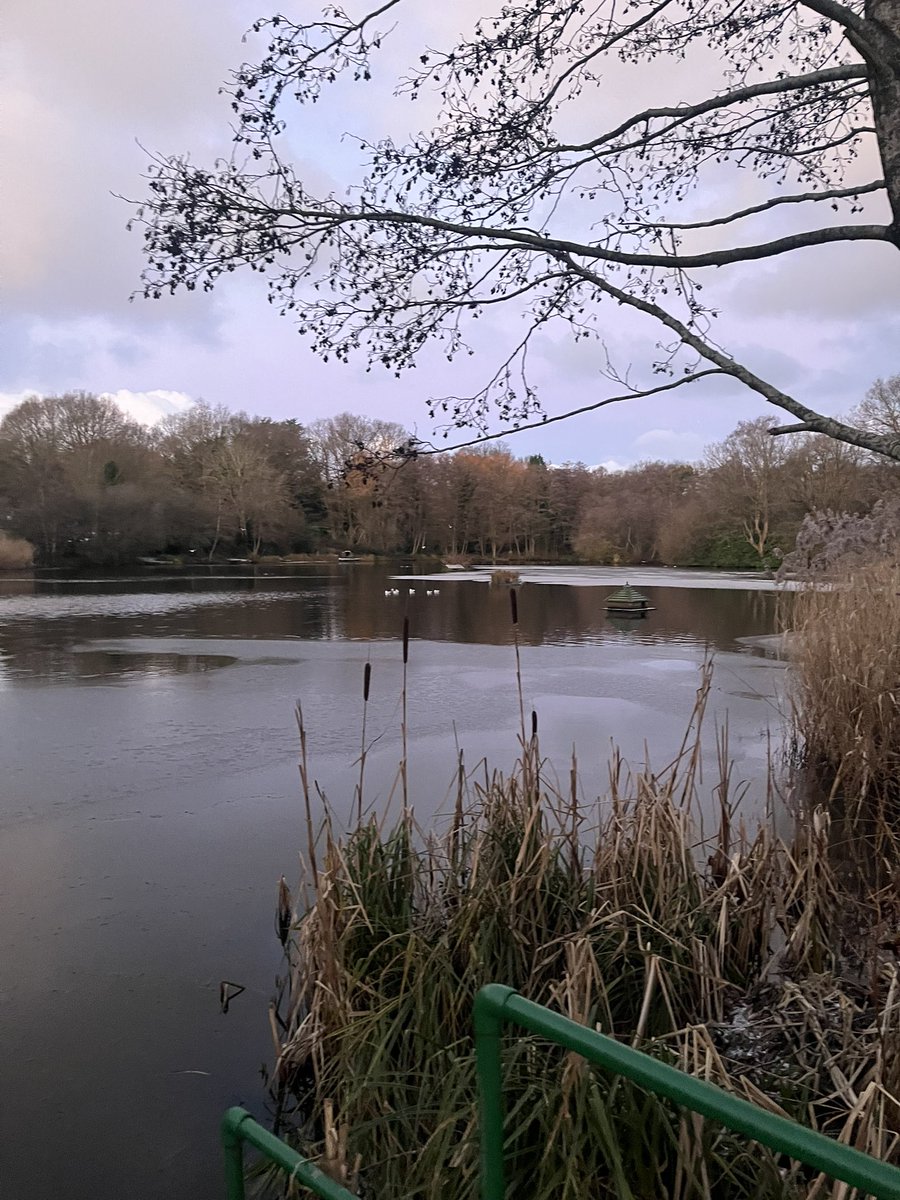 BOOSH_Dawson's tweet image. MORNING ❄️❄️❄️

BOOSH 🤪🐶
#Morning #Frosty #ActonPark