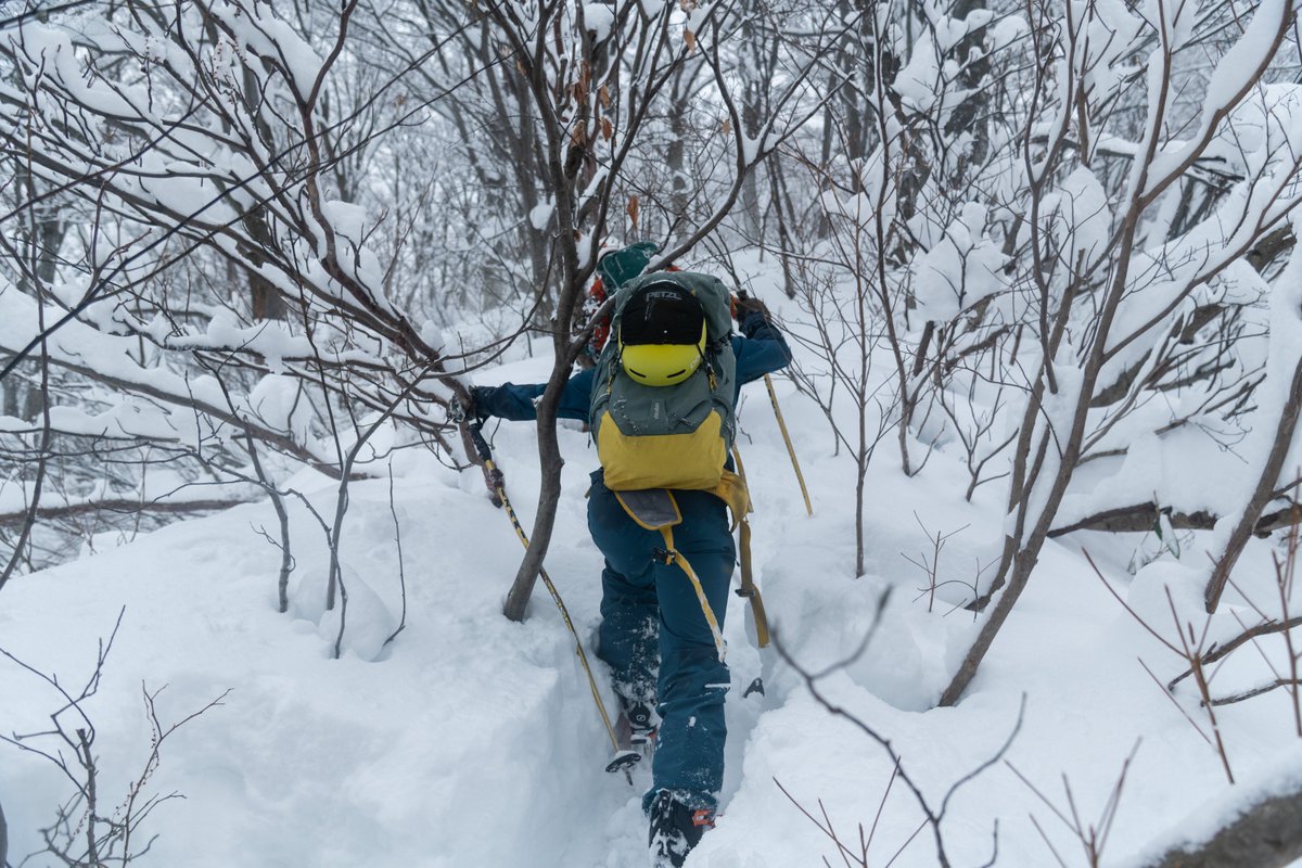 スキー、登山 Mountain Skiing] The X-shaped couloir on the east side of the