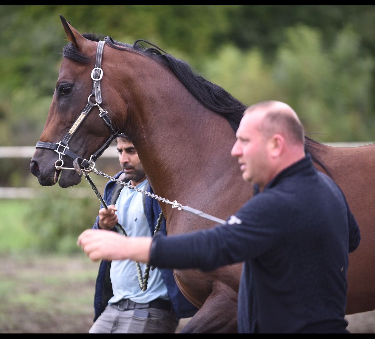 OptimumStud's tweet image. Point of Finally 
54 farklı farklı eküriden 74 müracaat alarak ilk turu 82 ile tamamladı. Bu yolda bizimle birlikte yürüyen tüm dostlara teşekkür ederiz..

@cantinazhakan @pointoffinally