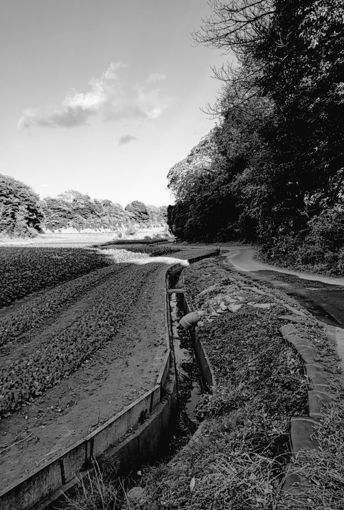 早乙女ボブ (@bob_saotome) on Twitter photo 