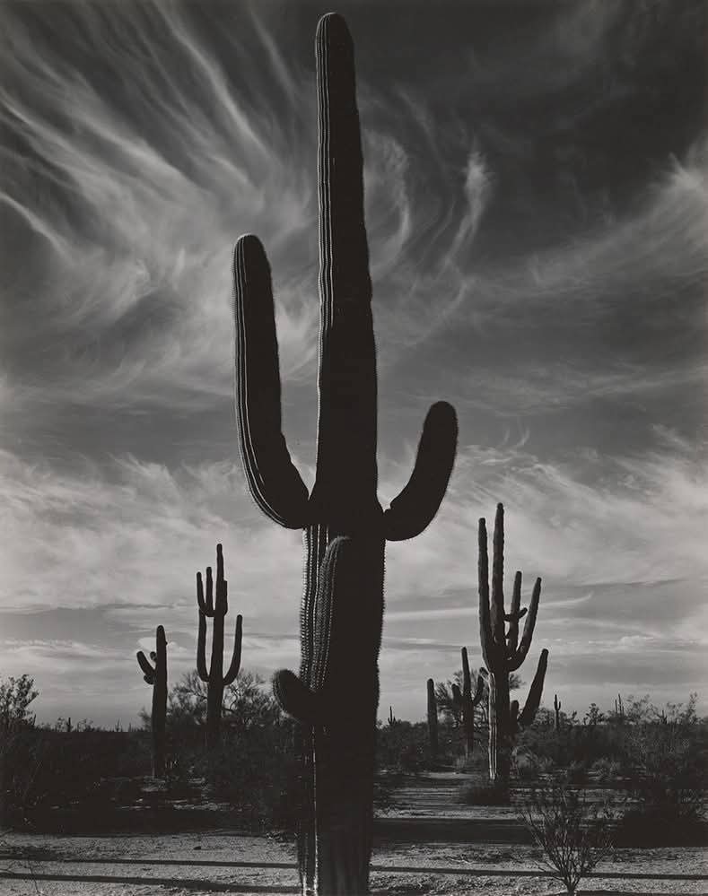 Brett Weston