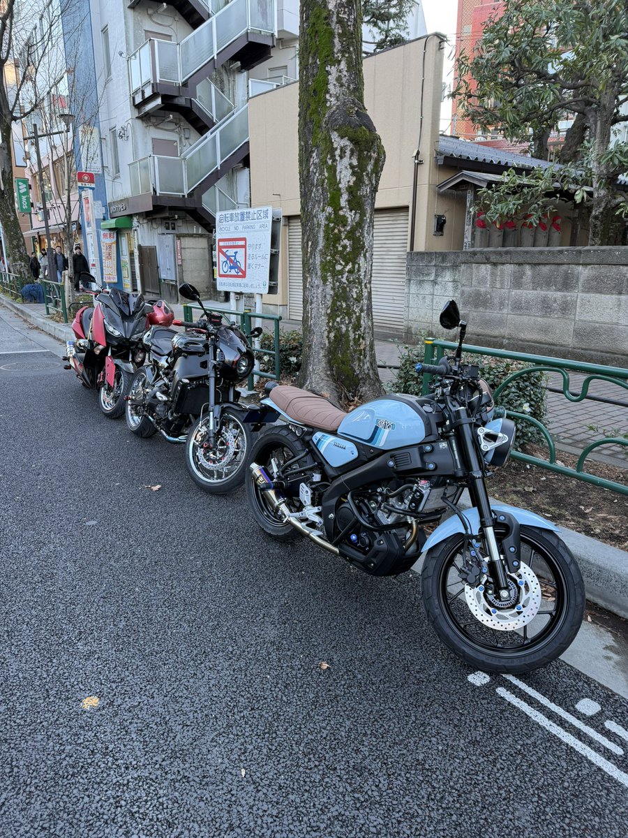 まるしぶ (@aFOTM3DkllQbkzS) / Posts / X