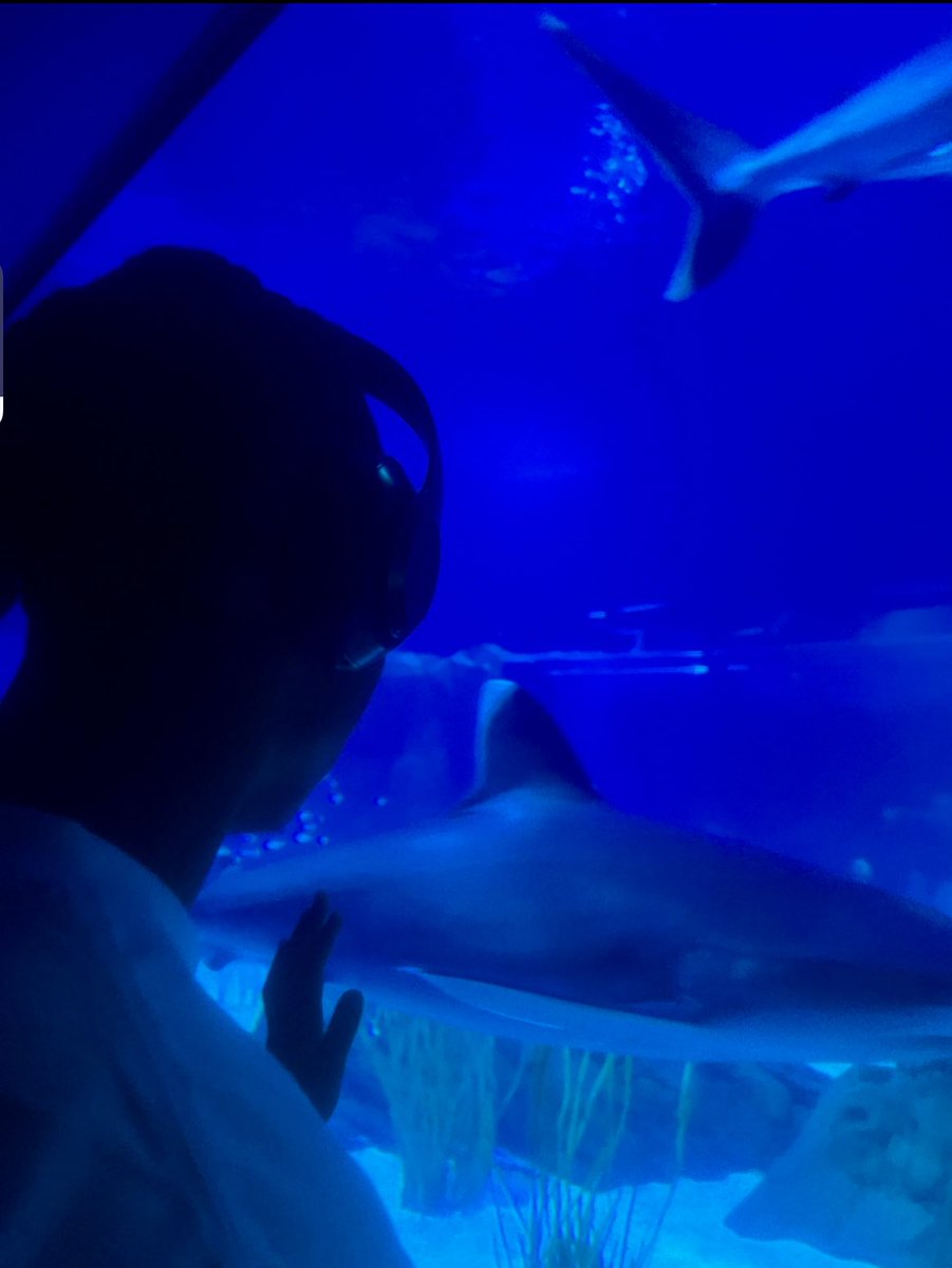 Dub2paid tweet media