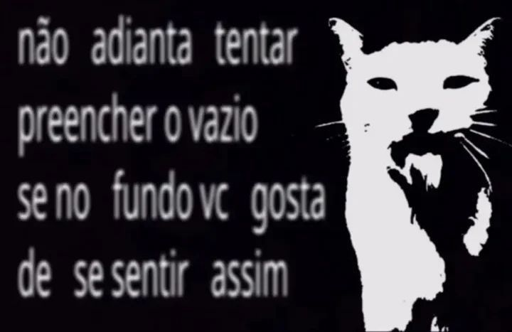 odeiootaco's tweet image. 