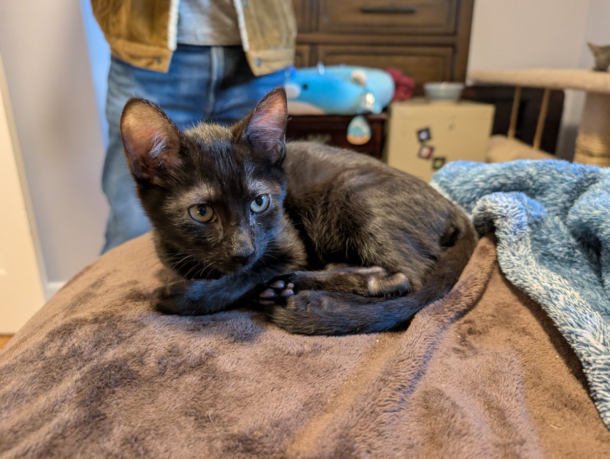 Alayna Danner tweet media