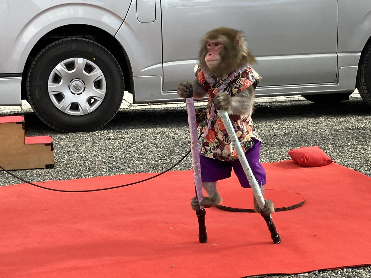 <a href="/luckmebanana/">Akiri</a> Akiriさん✨
こんばんは🌆
東寺近いんです。
上賀茂神社はバス50台渋滞あった日で
今まで見た事無いほど混雑してました。
ポスト拝見しましたーー。
あの抱き合わせ商法酷い🤣
そのお店アブアブ側大通りを上野駅向かって歩くとあるとこかな？
そうそう東寺では猿回しも出てました
魔が去るんだとか