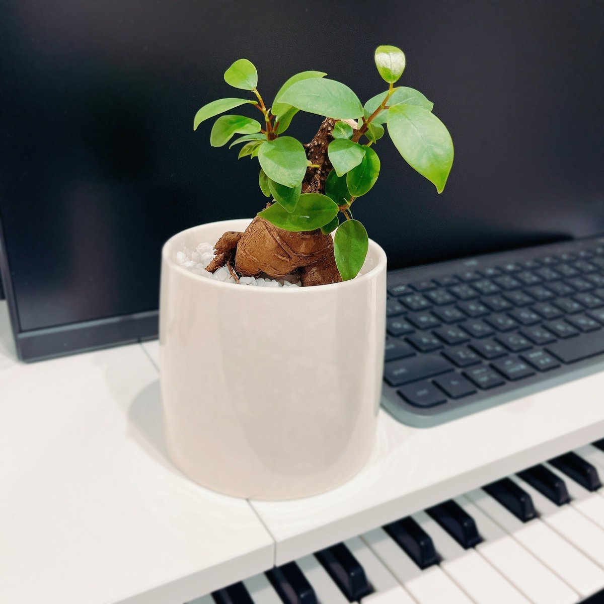 遊部 優介 Yusuke Asobe tweet media