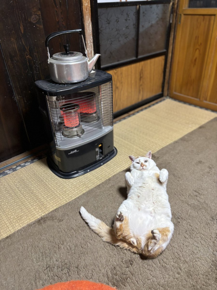 いいよん@C107(水)東7-D14b (@kinmugi1127) / Posts / X