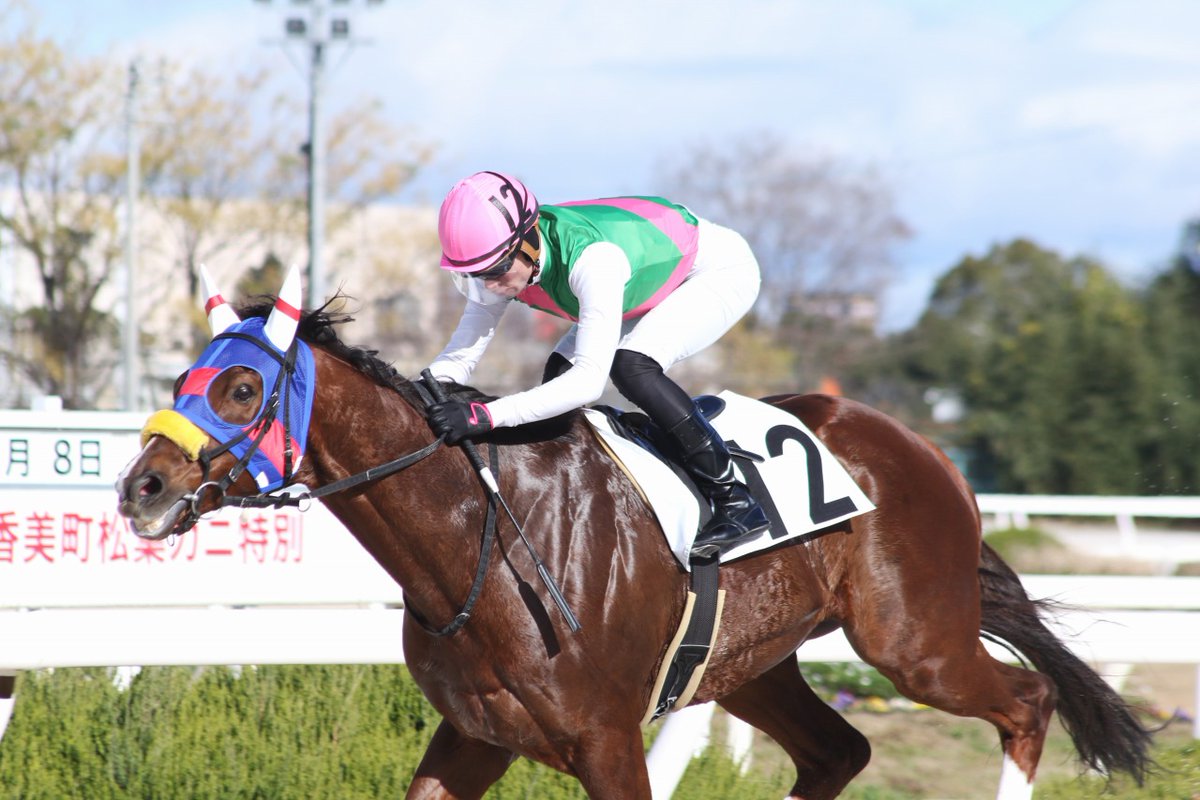 2026/01/03園田6Rトミーズ雅☆来場記念(4歳上C2二・ダート1400m) 1着⑫