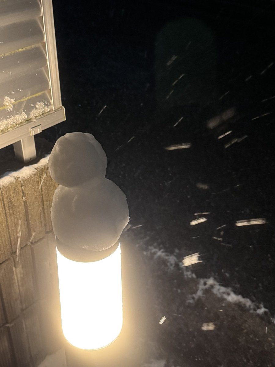 Resan113's tweet image. ミニ雪だるま⛄❄❄️.*˚