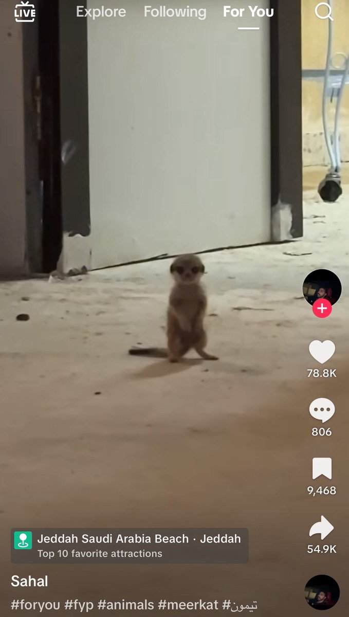 ni4aq's tweet image. "يمه انتي نايمه؟ طرشت"