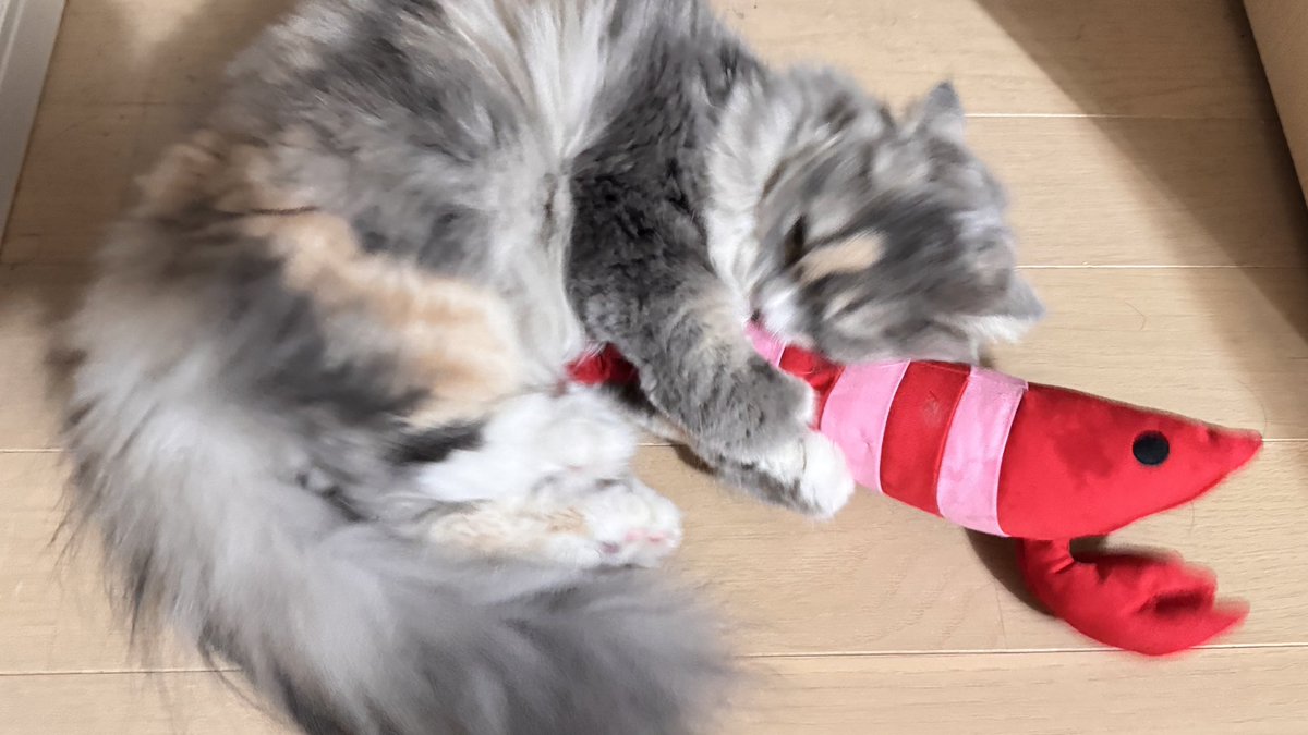 E7%84%A1%E4%BA%8B%E5%B8%B0%E5%AE%85