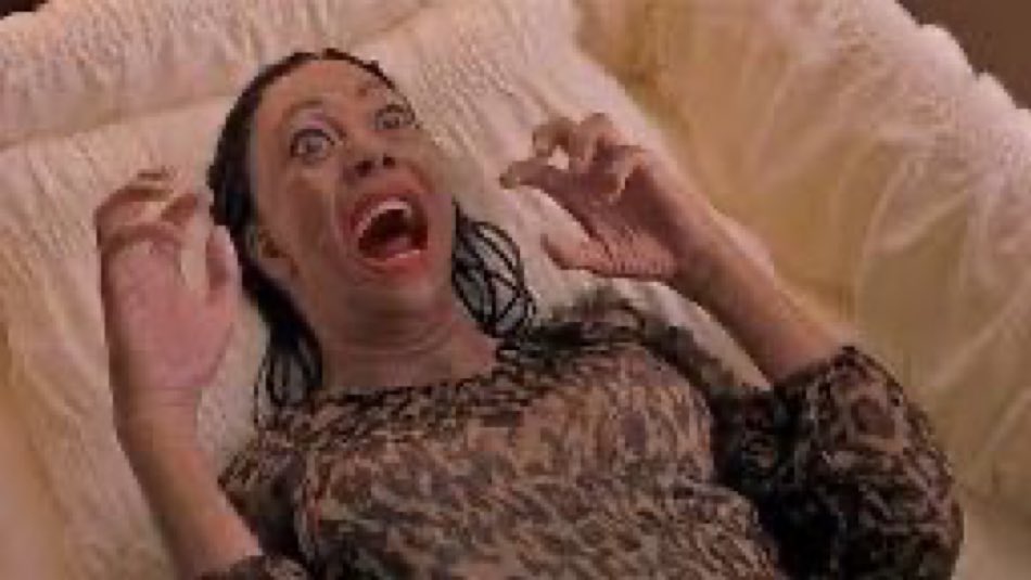 theharkyp's tweet image. I had like 4 gay guy fridays this week