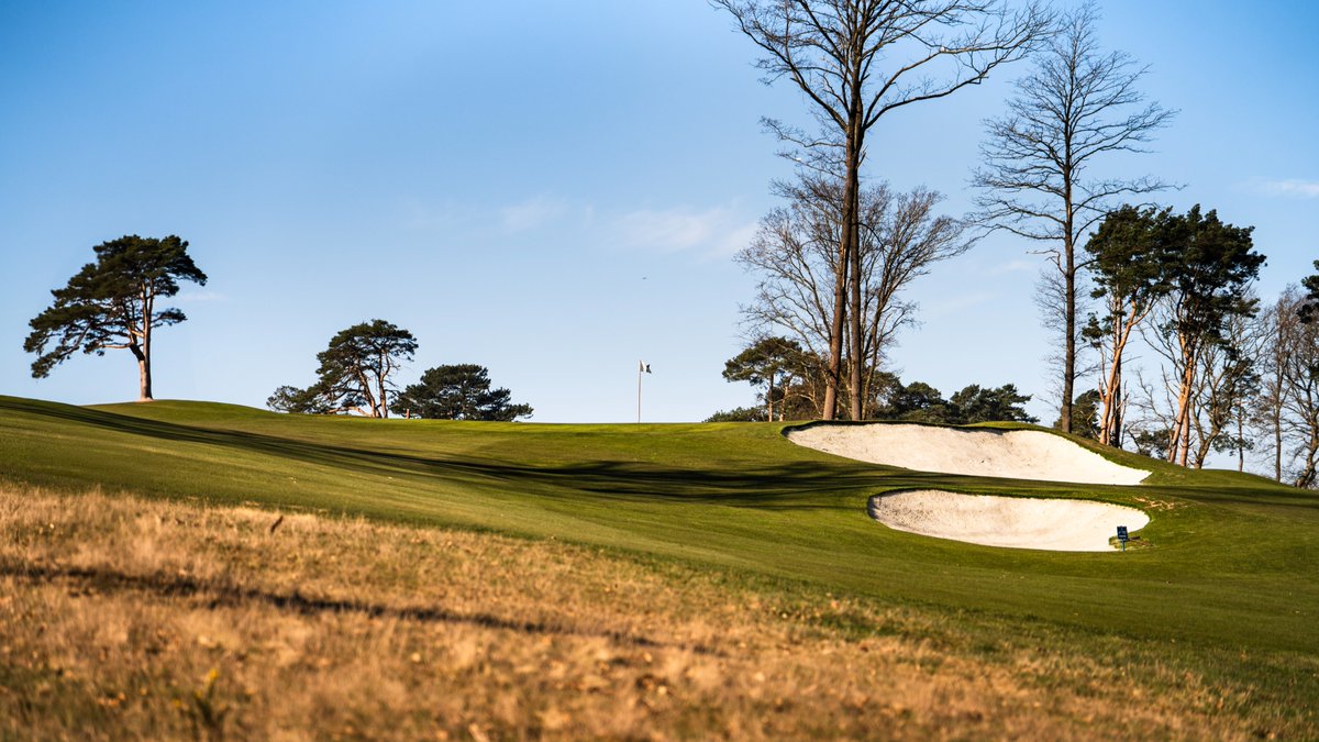 The Addington tweet media