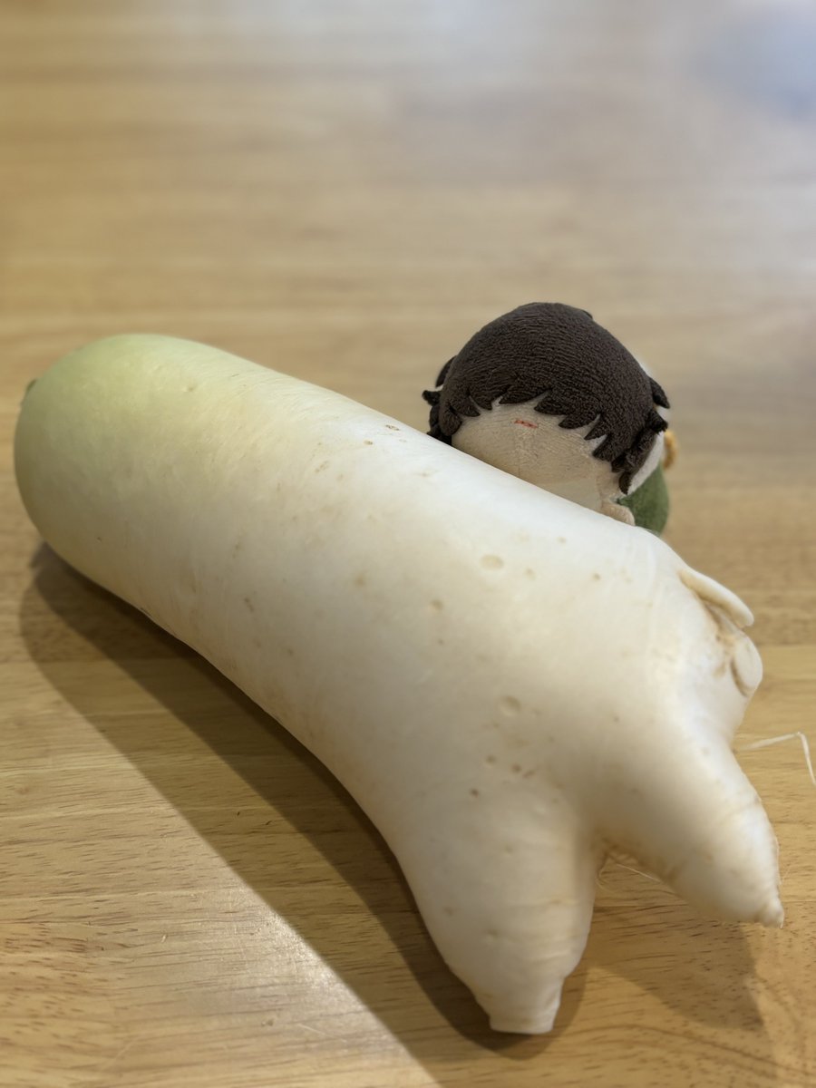 取れたて大根 八王子の畑で「意志をもつ大根」収穫】足を出して歩いているように