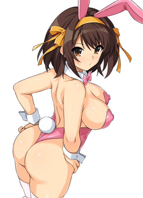 バニーハルヒさん 