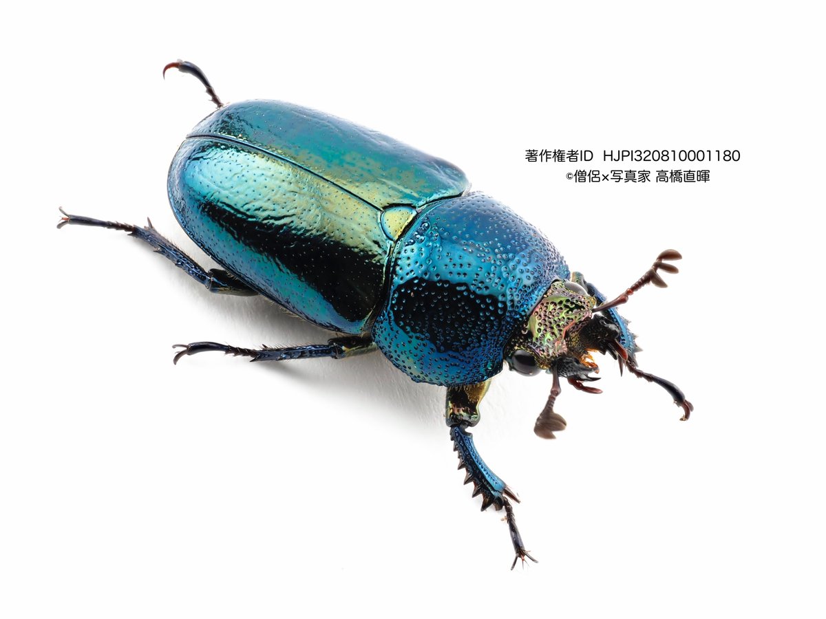 その時の写真は以下⇩