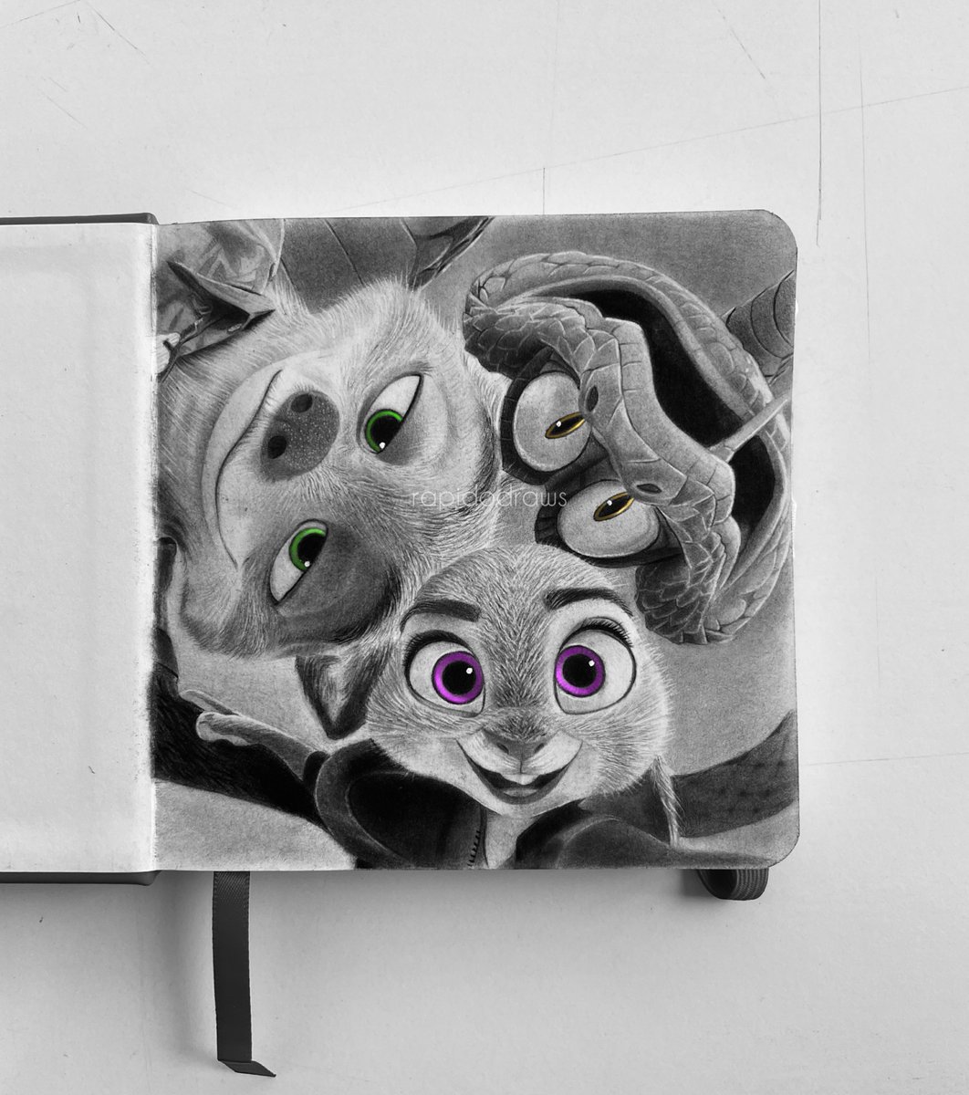 Rapido ◣ ◢ tweet media