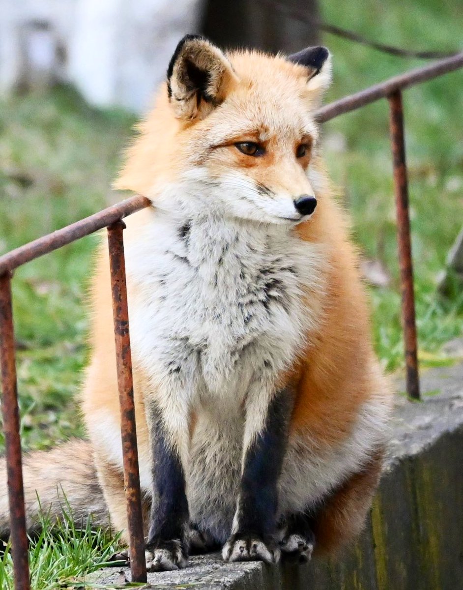 Post by Solid_Ivory on X: T1000