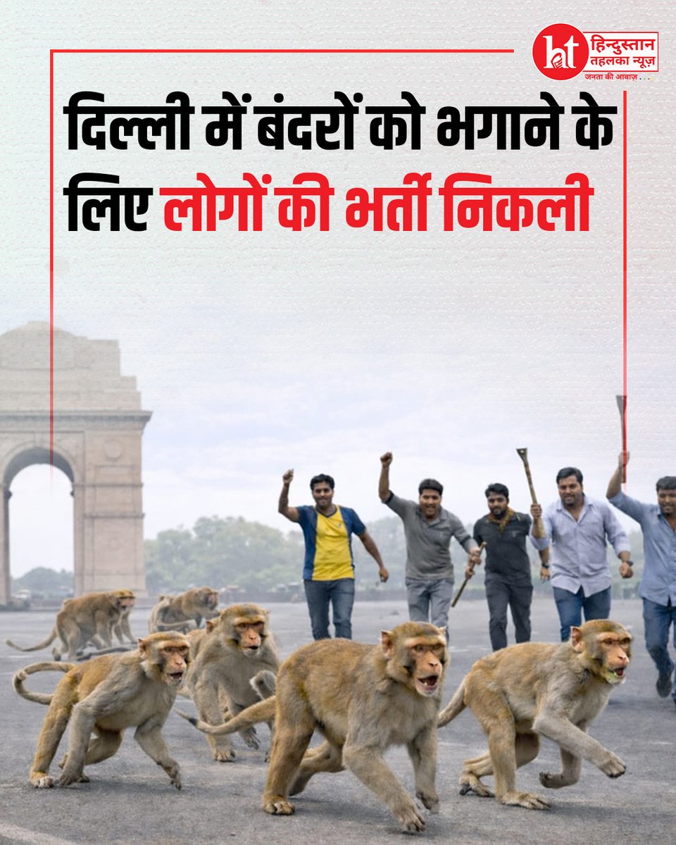 htehelkanews's tweet image. दिल्ली में बंदरों को भगाने के लिए लोगों की भर्ती निकली 

#DelhiNews #MonkeyMenace #MonkeyControl #UrbanWildlife #PublicSafety #CivicIssue #MunicipalAction
#DelhiUpdates #AnimalControl #CityProblems