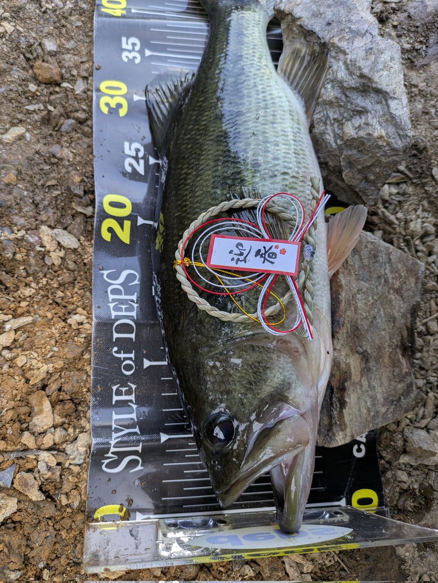 うちゅう tweet media