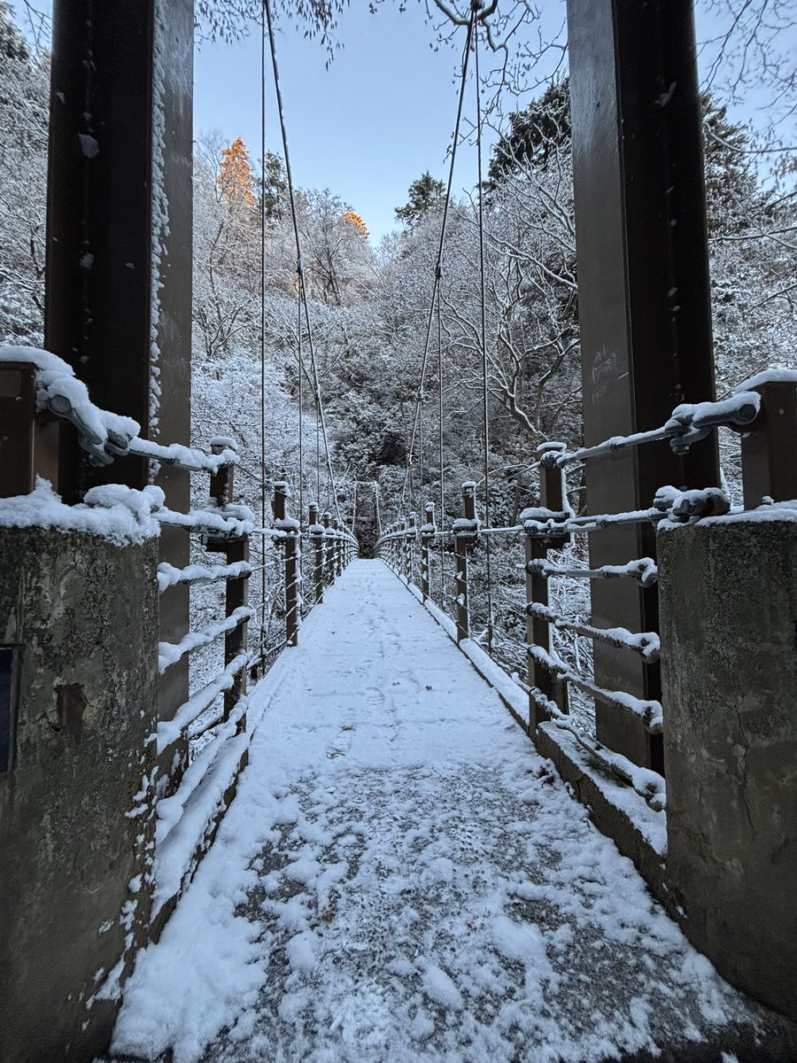 neue2932's tweet photo. 雪景色の高尾山4号路
ステキ https://t.co/CrtRHBY0uj
