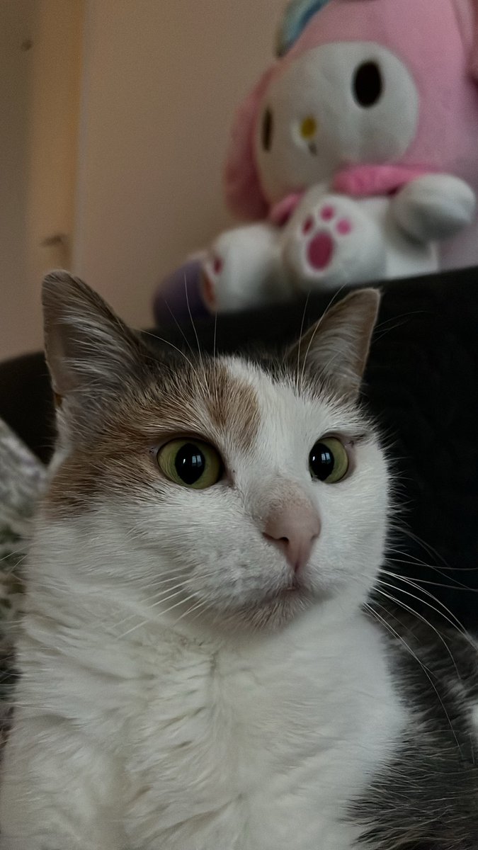 photo de mannequin 📸