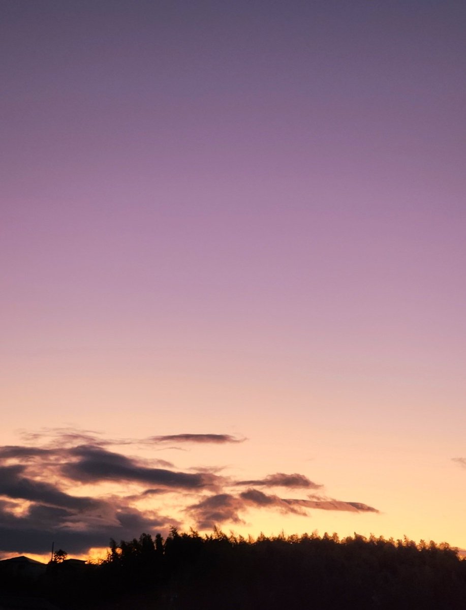 やっくん (@rz7j2xMw3q29104) / Posts / X