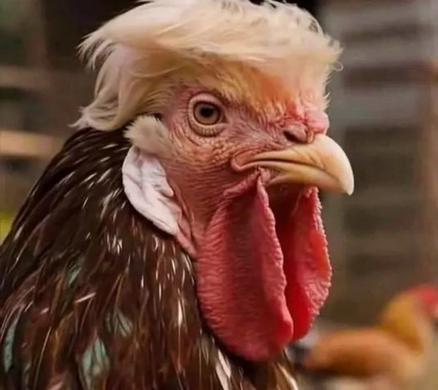 Hontzagautxori's tweet image. El mundo entero debe ayudar a Venezuela contra el fascismo yankee, organizar brigadas internacionales contra el saquéo, el atropello y el robo a mano armada para que se enteren los güeros que no son los dueños del planeta Gaia y tengan que pagar todo e irse por donde han venido