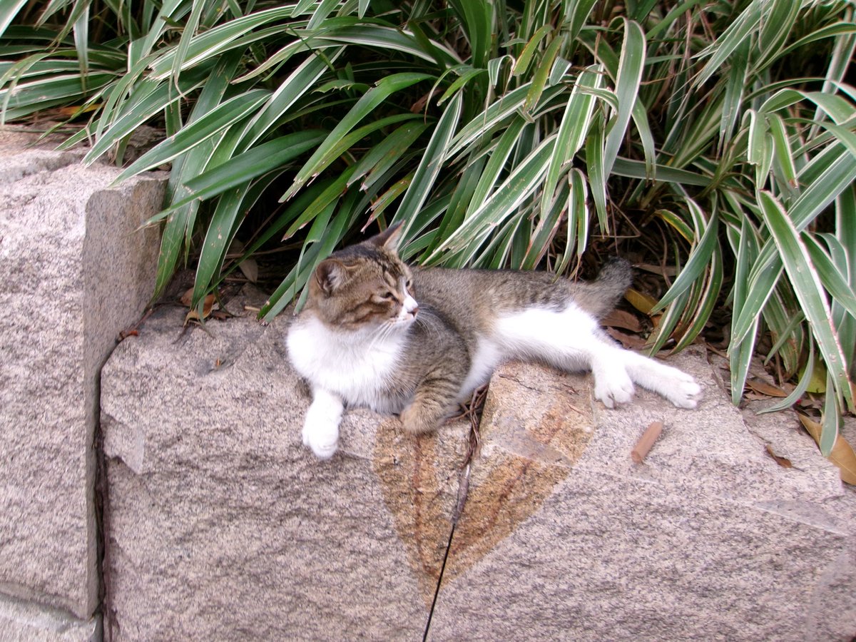 sparks (@unavlbheart) on Twitter photo 