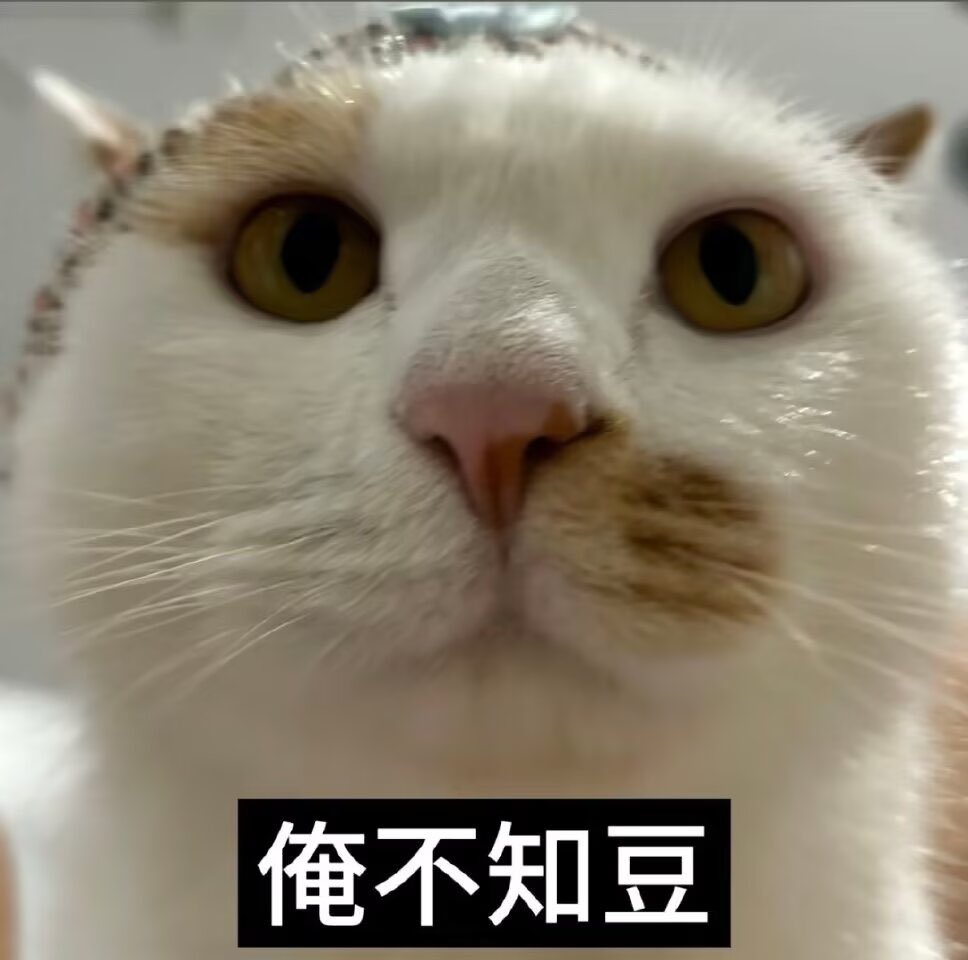 咪咪 tweet media