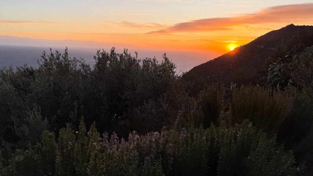 RobinSharma's tweet image. This is where I’ve come. To a mystical island where people still smile and the Earth still sings. I am here to work on my new book. I can’t wait for it to be in your hands next January. Happy 2026. Robin